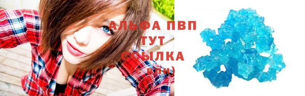 скорость Новозыбков