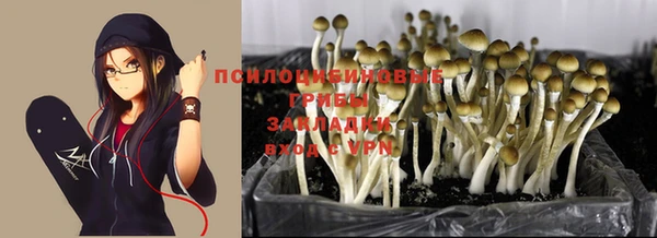 мяу мяу мука Няндома