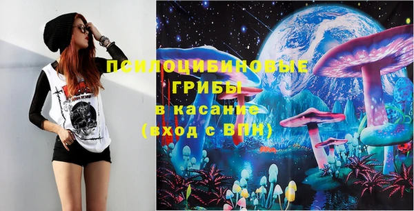 скорость Новозыбков