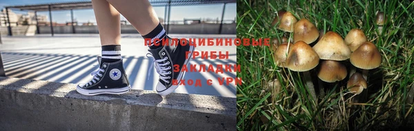 скорость Новозыбков
