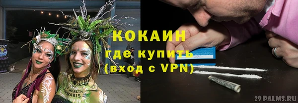 мяу мяу мука Няндома